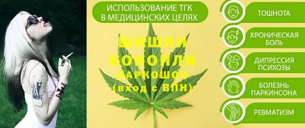 прущие грибы Гусев