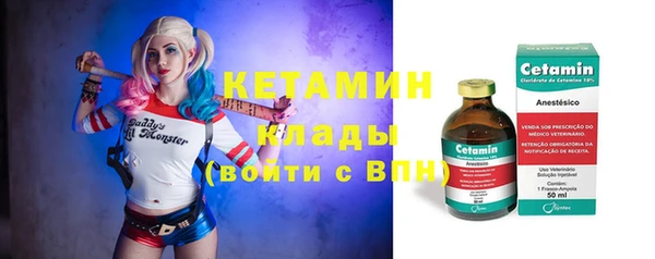 прущие грибы Гусев