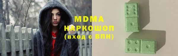 прущие грибы Гусев