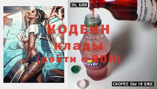 сатива Гусь-Хрустальный