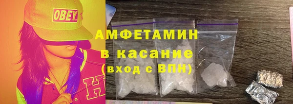 прущие грибы Гусев