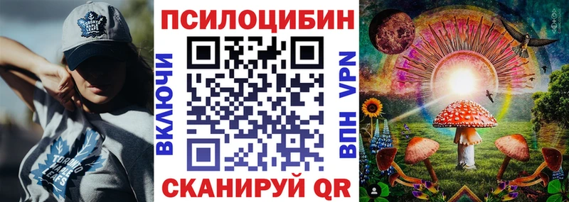 хочу Свирск Псилоцибиновые грибы Cubensis